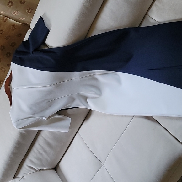 St John Blue/White Colorblock Dress - Picture 3 of 3